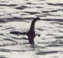 Hoaxed_photo_of_the_Loch_Ness_monster